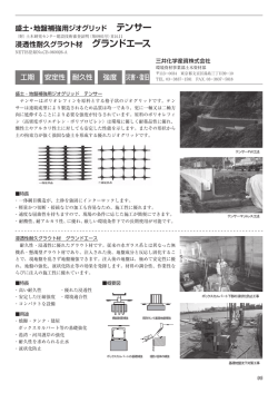 盛土・地盤補強用ジオリッド テンサー 浸透性耐久グラウト材 グランドエース