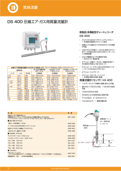 DS 400 圧縮エア・ガス用質量流量計 タッチパ 気体流量