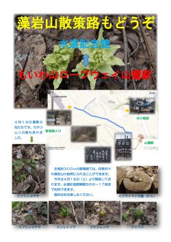 藻岩山散策路もどうぞ