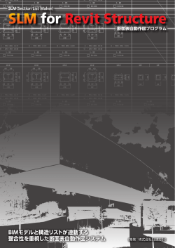 SLM for Revit Structure