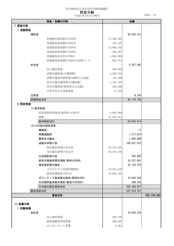 平成26年度 財産目録