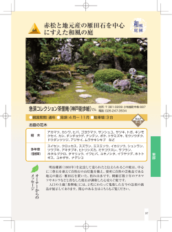 赤松と地元産の雁田石を中心 にすえた和風の庭
