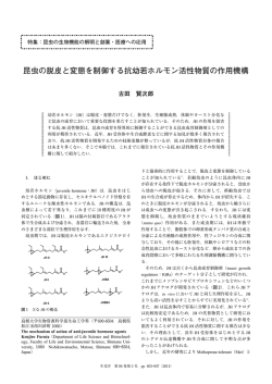 昆虫の脱皮と変態を制御する抗幼若ホルモン活性物質の作用機構