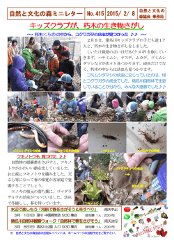 朽木の生き物さがし 朽木の生き物さがし