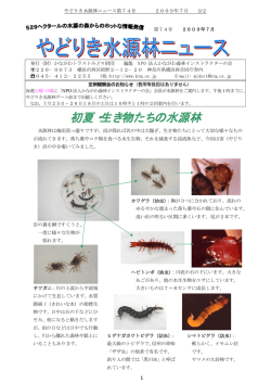 7月 - かながわ森林インストラクターの会