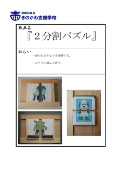 『2分割パズル』