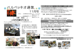 ベル通信11月号