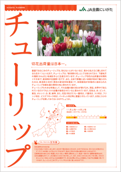 切花出荷量は日本一。