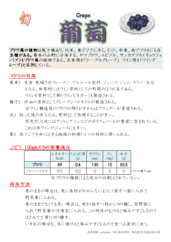 ブドウの利用 ぶどう 100gあたりの栄養成分 保存方法