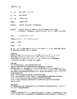 プロフィール - 野呂 知加子