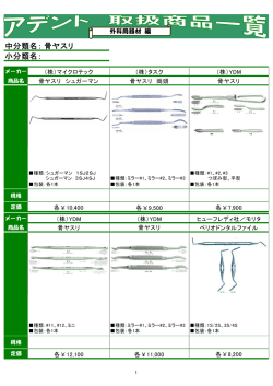中分類名： 小分類名： 骨ヤスリ