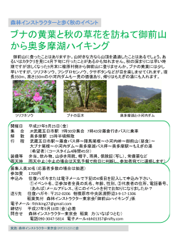 ブナの黄葉と秋の草花を訪ねて御前山 - 森林インストラクター東京会 (FIT)