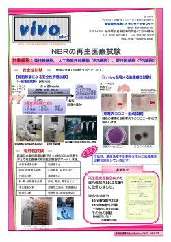 NBRの再生医療試験 - 日本バイオリサーチセンター