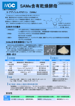 SAMe含有乾燥酵母