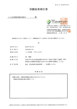 試験結果報告書 - JAつくば市