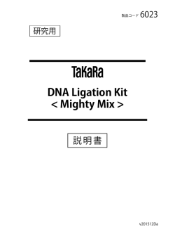 DNA Ligation Kit