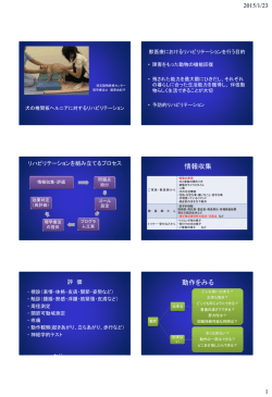 椎間板ヘルニアのリハビリテーション
