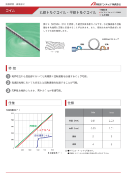 丸線トルクコイル・平線トルクコイル