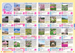 北塩原村の花 水芭蕉群生地（細野地区） 沼ノ平の福寿草 猪苗代ハーブ