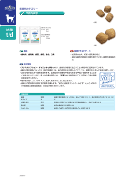DOG td.indd