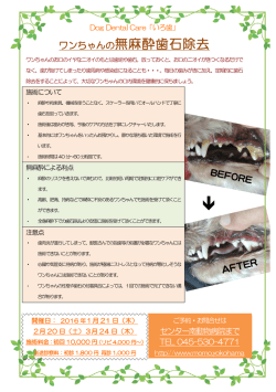 ワンちゃんのデンタルケアイベントについて詳しくはこちらから【PDF書類】