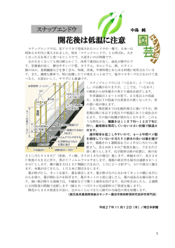 開花後は低温に注意