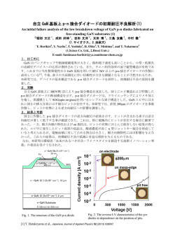 自立 GaN 基板上 p-n 接合ダイオードの初期耐圧不良解析(1)