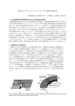 H25-26 アカデミック オープンプログラム最終研究報告書