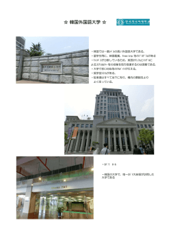 写真レポート