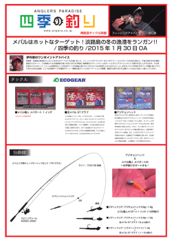 メバルはホットなターゲット！淡路島の冬の漁港をランガン