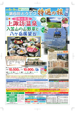 信州の名湯 上諏訪温泉 入笠山の山野草と八ヶ岳展望台