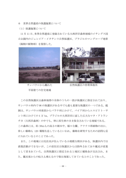 世界自然遺産の保護施策について（PDF形式:553メガバイト）