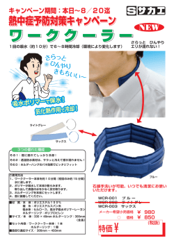 ワーククーラーカタログ