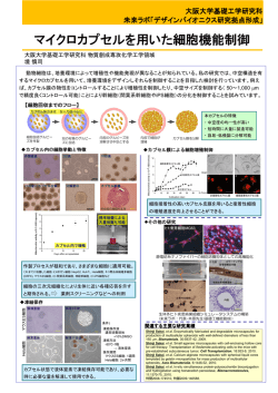 マイクロカプセルを用いた細胞機能制御 - COE Initiatives for DESIGN