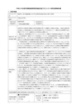 概要版