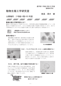 動物生殖エ学研究室