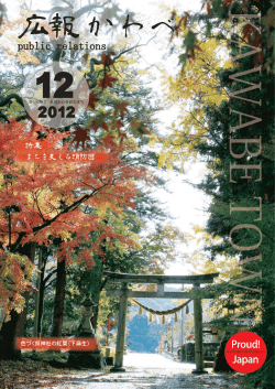色づく県神社の紅葉（下麻生）