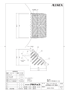 DSYS-TR15 ストレーナーキャップ