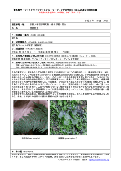 屋久島実習 - 霊長類学・ワイルドライフサイエンス・リーディング大学院