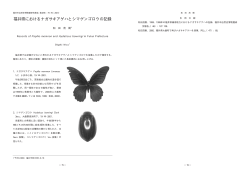福井県におけるナガサキアゲハとシマゲンゴロウの記録