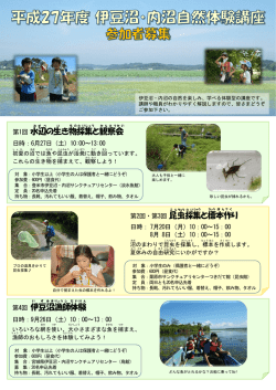 PowerPoint プレゼンテーション