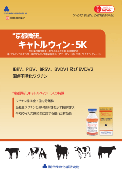 キャトルウィン 5K