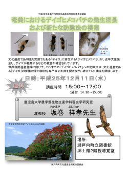 准教授 坂巻 祥孝先生