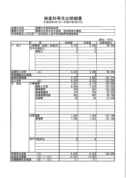 検査料等支出明細書