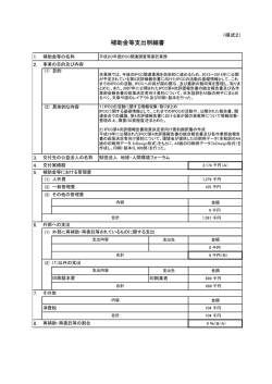 補助金等支出明細書 - 一般財団法人地球・人間環境フォーラム