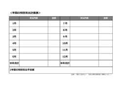 ＜年間の特別支出計画表＞