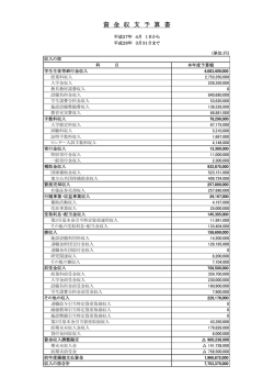 資金収支予算書