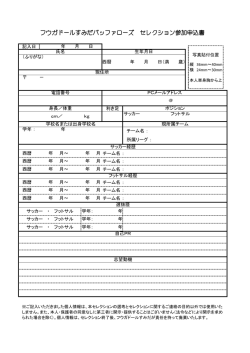 フウガドールすみだバッファローズ セレクション参加申込書