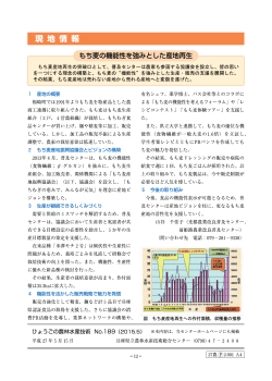 もち麦の機能性を強みとした産地再生 - 兵庫県立農林水産技術総合