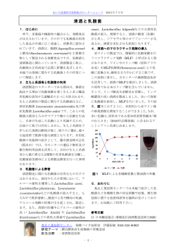 清酒と乳酸菌 （PDF: 303.3 KB）